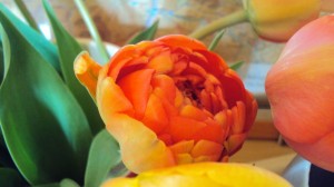 Auf jeden Gast wartet ein Blumenbegrüßungsgruß
