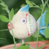 Gisela, der zauberhafte Topffisch...... Gisela, der zauberhafte Topffisch......